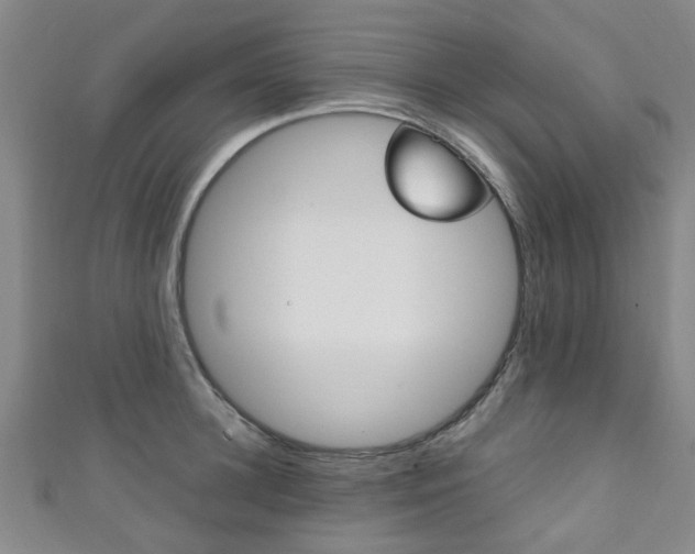 X0000111250948200907021017