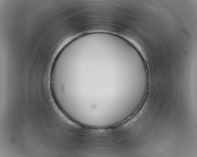 X0000111250949200907021017