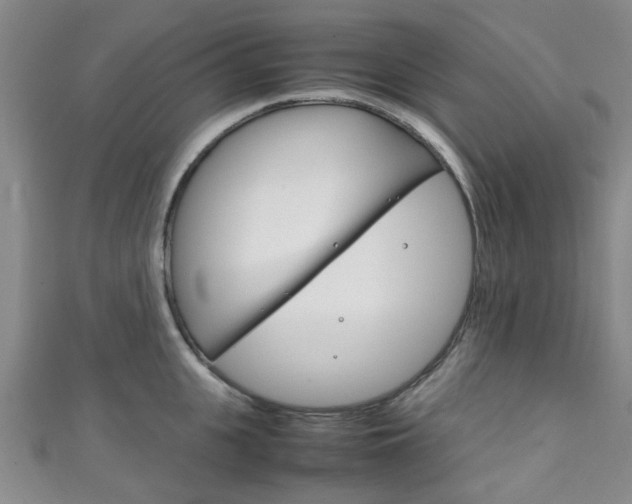 X0000111250951200907021017