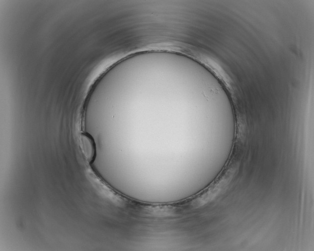 X0000111250952200907021017
