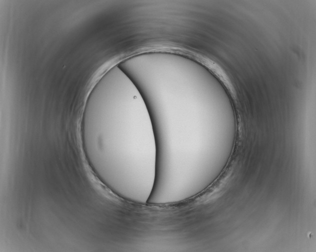X0000111250954200907021017