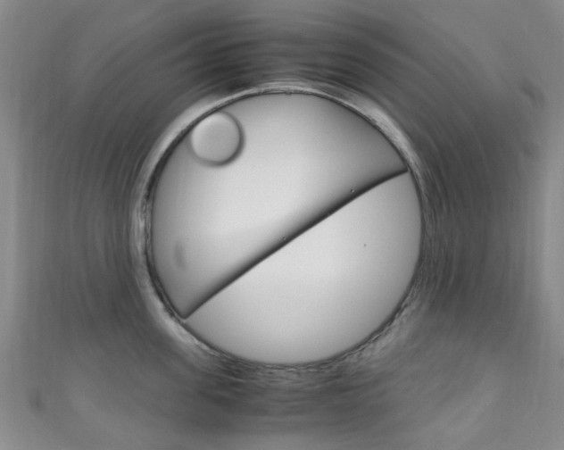X0000111250955200907021017