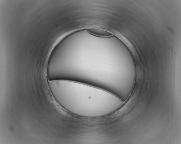 X0000111250956200907021017