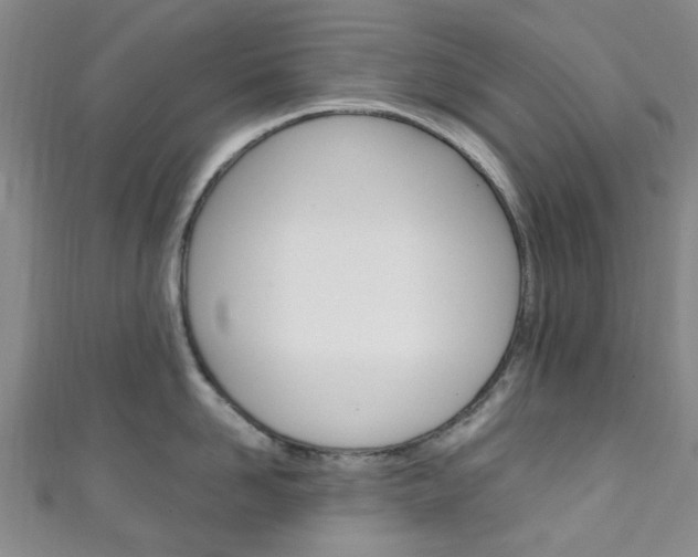 X0000111250958200907021017