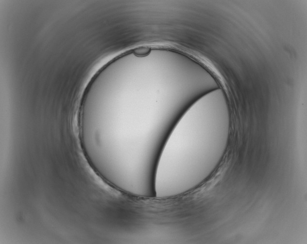 X0000111250959200907021017