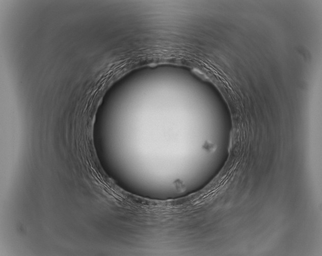 X0000111250961200907021016