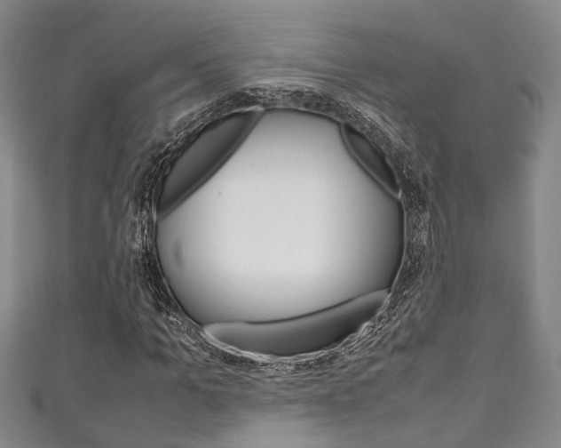 X0000111250965200907021016