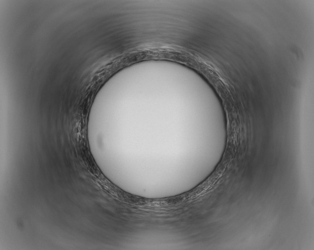 X0000111250966200907021016