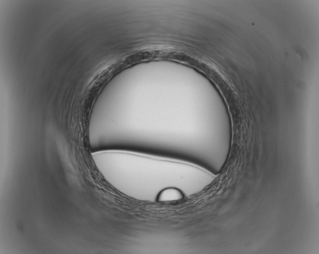 X0000111250967200907021016