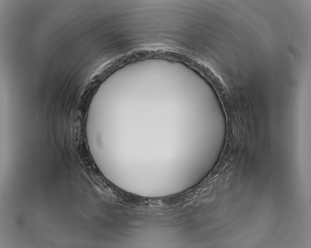 X0000111250968200907021016