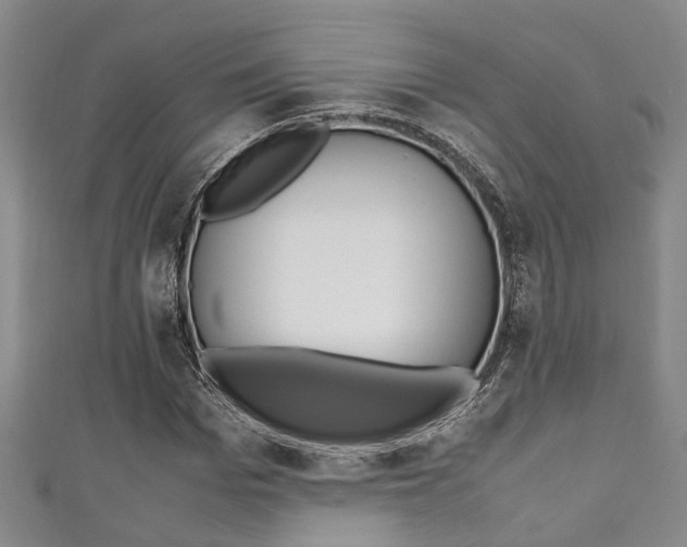 X0000111250969200907021016