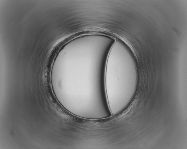 X0000111250971200907021016