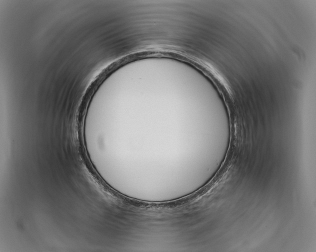 X0000111250972200907021016