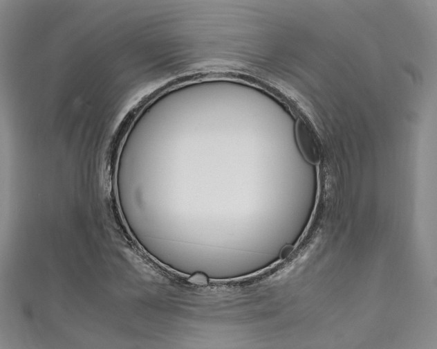 X0000111250973200907021016