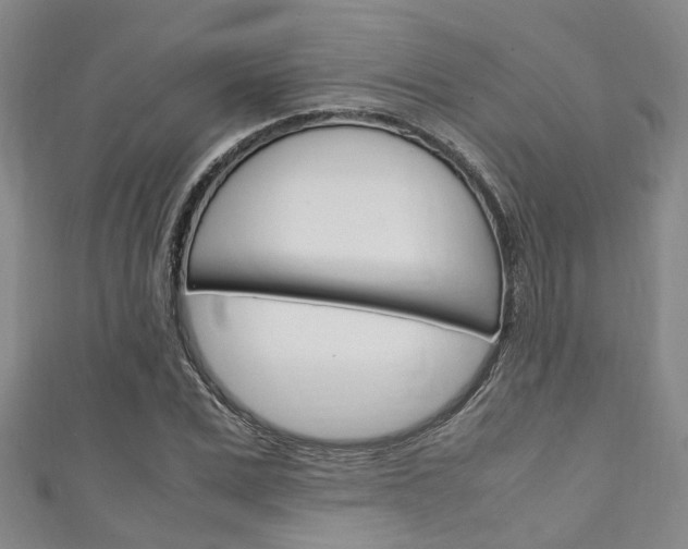 X0000111250975200907021016