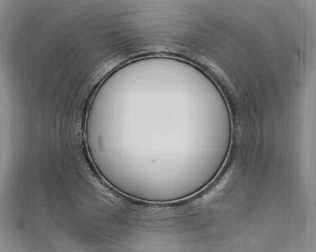X0000111250977200907021016
