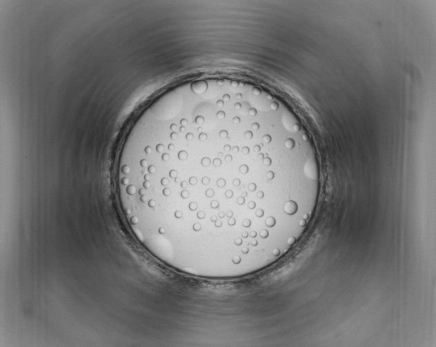 X0000111250978200907021016