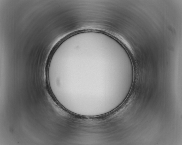 X0000111250980200907021016