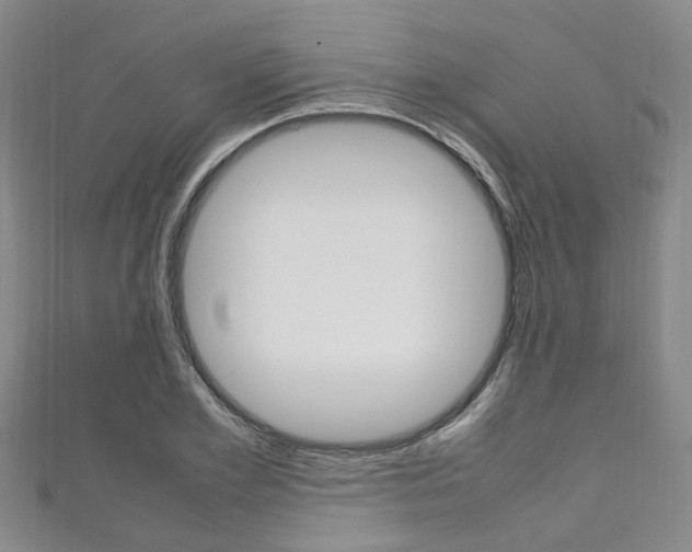 X0000111250981200907021016