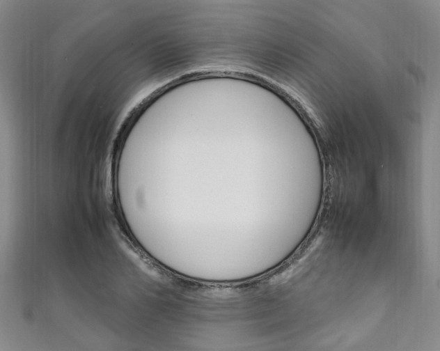 X0000111250982200907021016