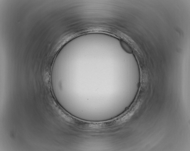 X0000111250985200907021016