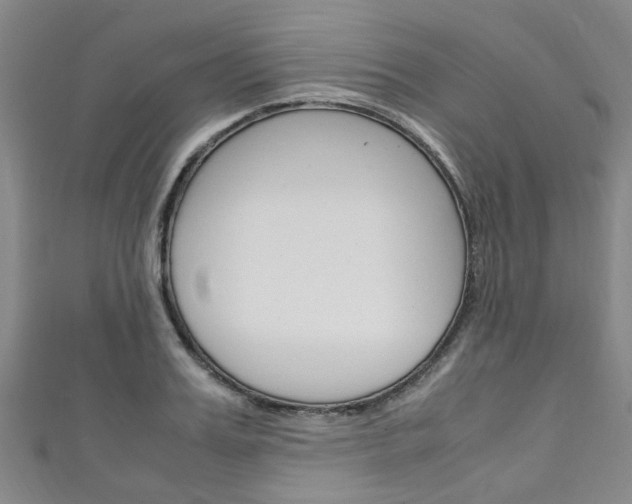 X0000111250987200907021016