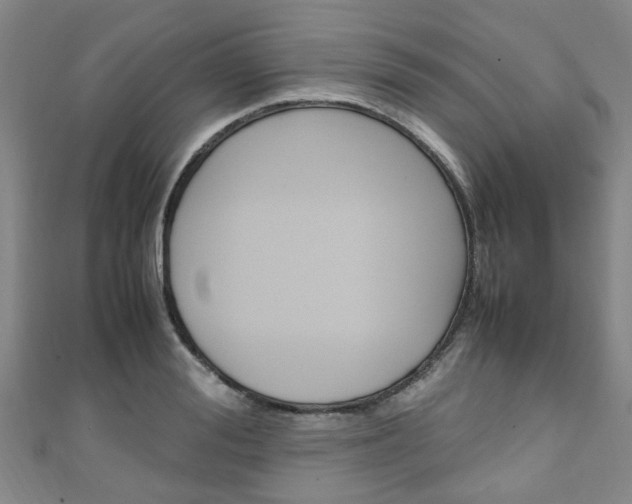 X0000111250988200907021016