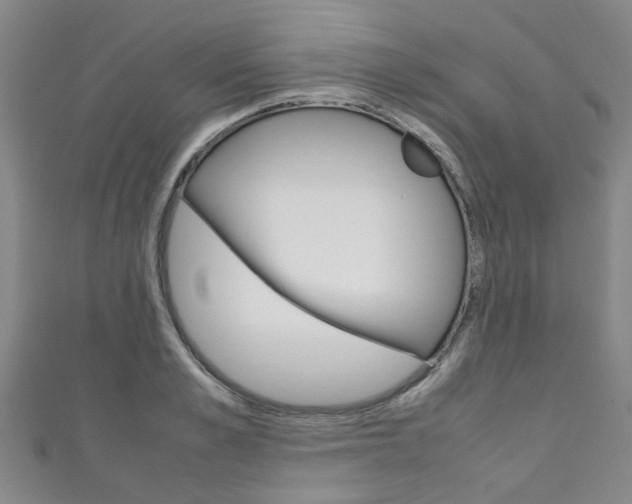 X0000111250989200907021016