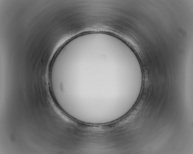 X0000111250990200907021016