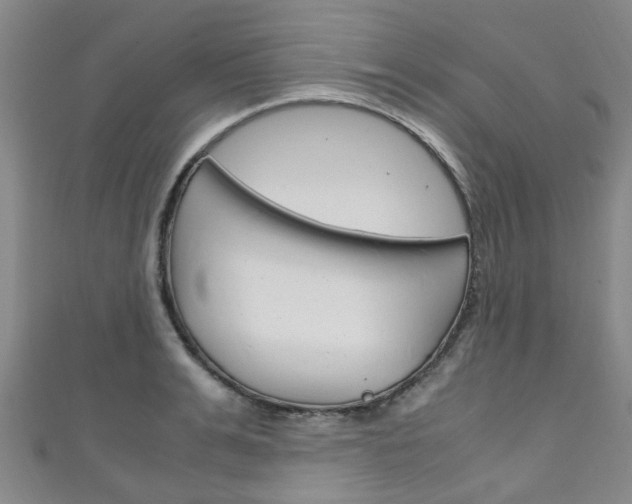 X0000111250991200907021016