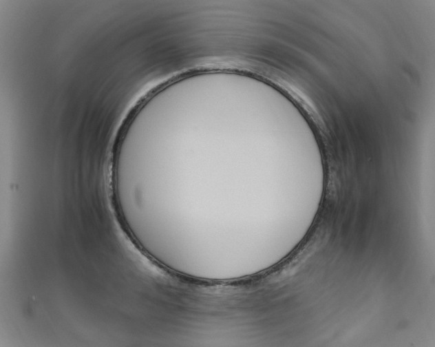 X0000111250992200907021016
