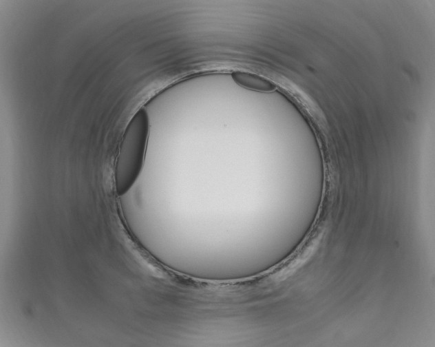 X0000111250993200907021016