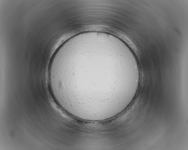 X0000111250994200907021016