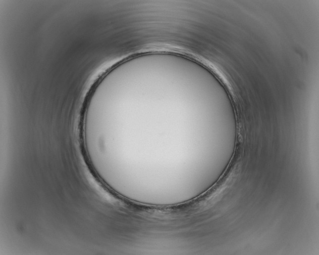 X0000111250995200907021016