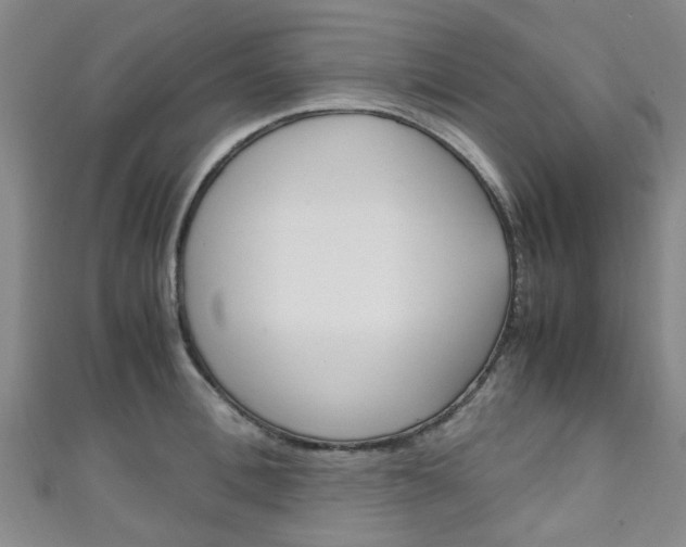 X0000111250996200907021016