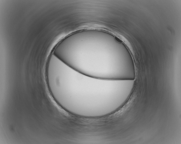 X0000111250997200907021016