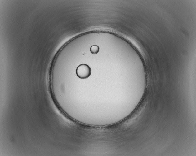 X0000111250999200907021016