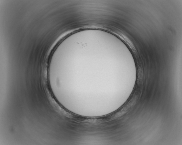X0000111251000200907021016