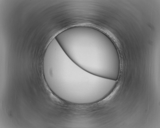X0000111251001200907021016