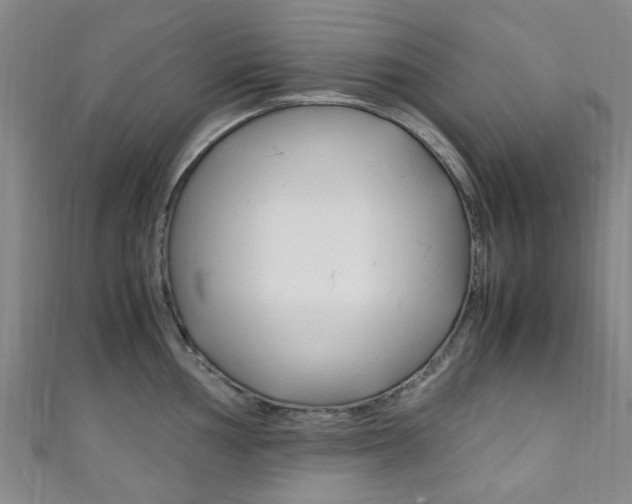 X0000111251002200907021016