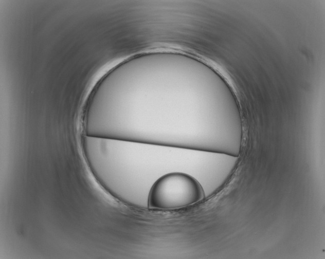 X0000111251003200907021016