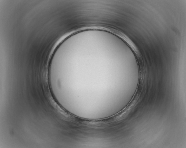 X0000111251004200907021016
