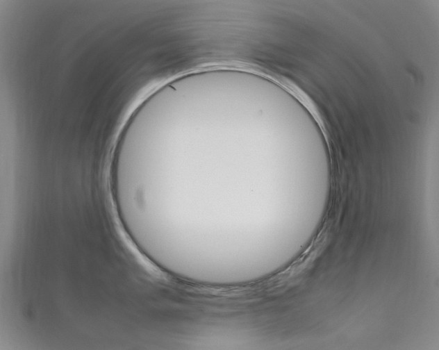 X0000111251005200907021016
