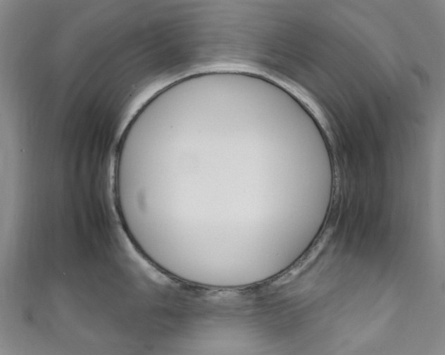X0000111251006200907021016