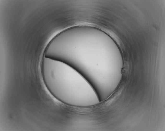X0000111251007200907021016