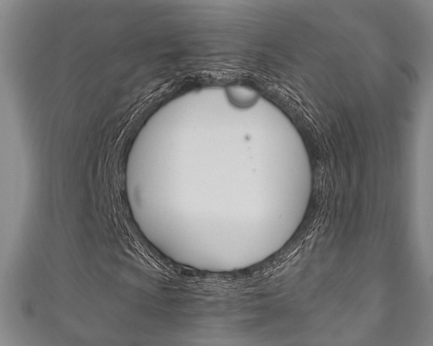 X0000111251009200907021015