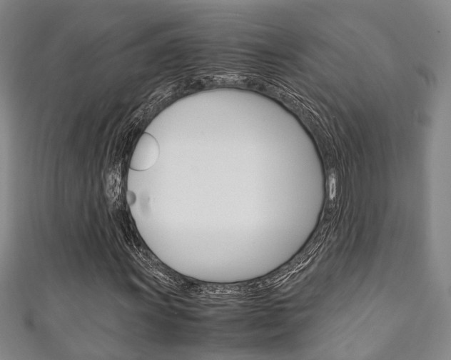 X0000111251011200907021015