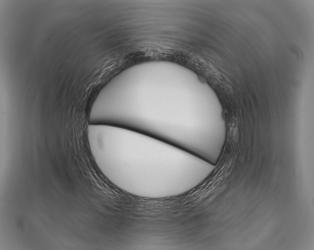 X0000111251012200907021015