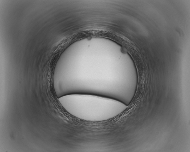 X0000111251014200907021015