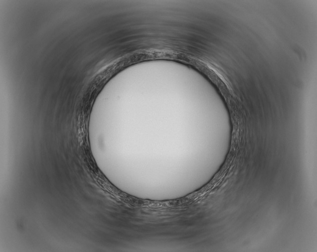 X0000111251015200907021015